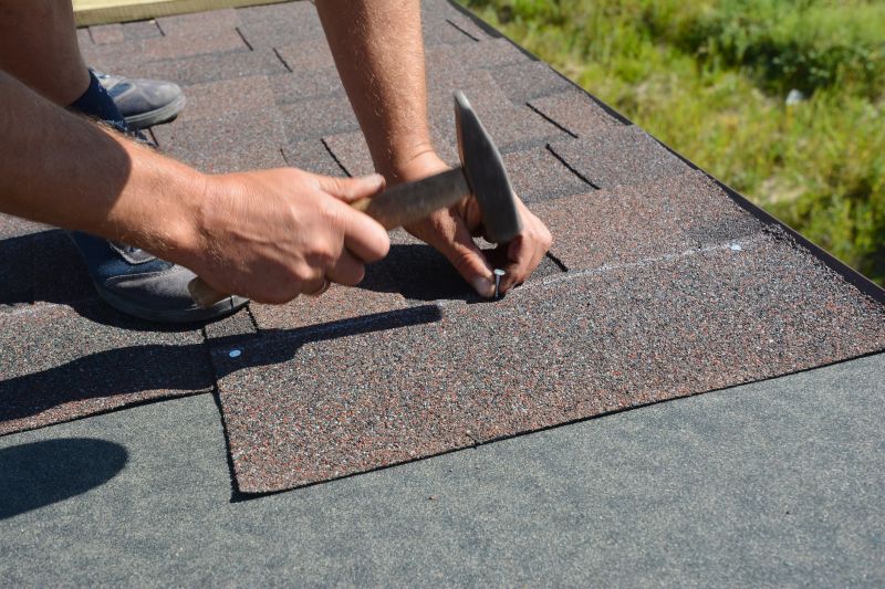 Professional Roofing Contractors